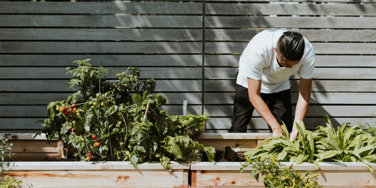 The Best Tools for Efficient Garden Waste Management
