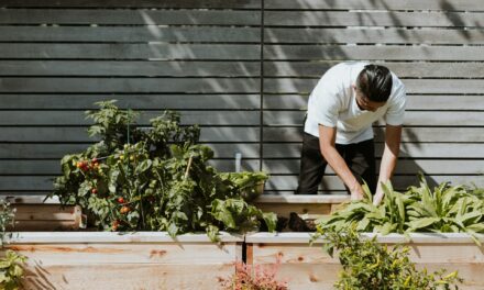 The Best Tools for Efficient Garden Waste Management