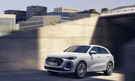 The Audi Q5 e-hybrid: all-rounder with great electric range