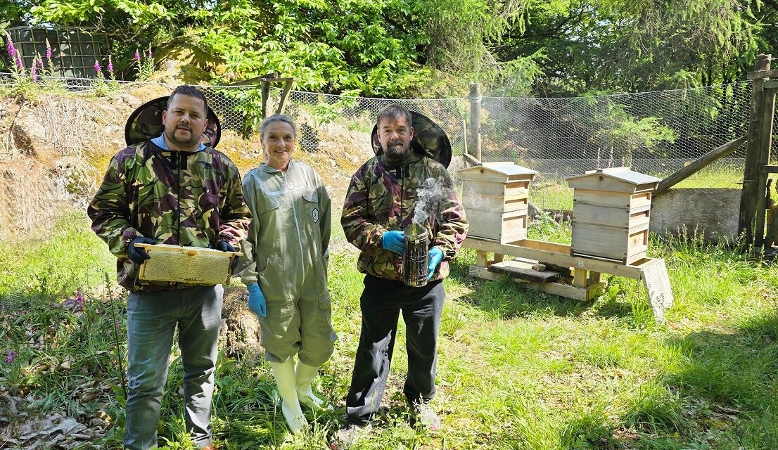 Lake District estate gives nature a buzz with new beehives