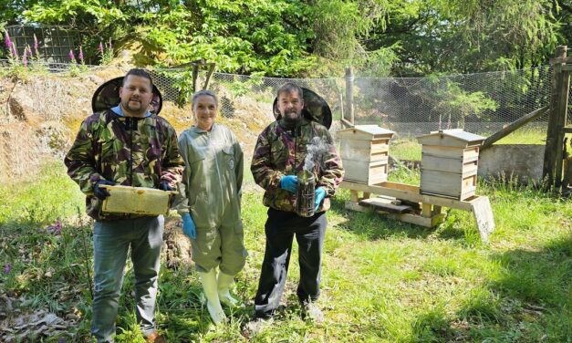 Lake District estate gives nature a buzz with new beehives