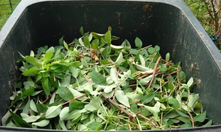 Free Tree Shelter Recycling in North Yorkshire