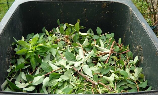 Free Tree Shelter Recycling in North Yorkshire