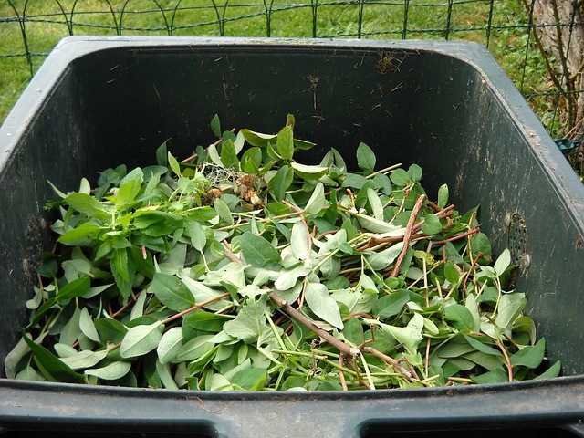 Free Tree Shelter Recycling in North Yorkshire