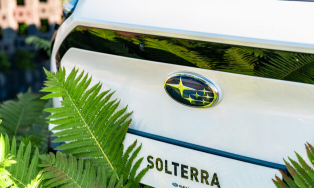 ‘Subaru Cocoon’ takes home five prestigious accolades at RHS Hampton Court Palace Garden Festival 2025