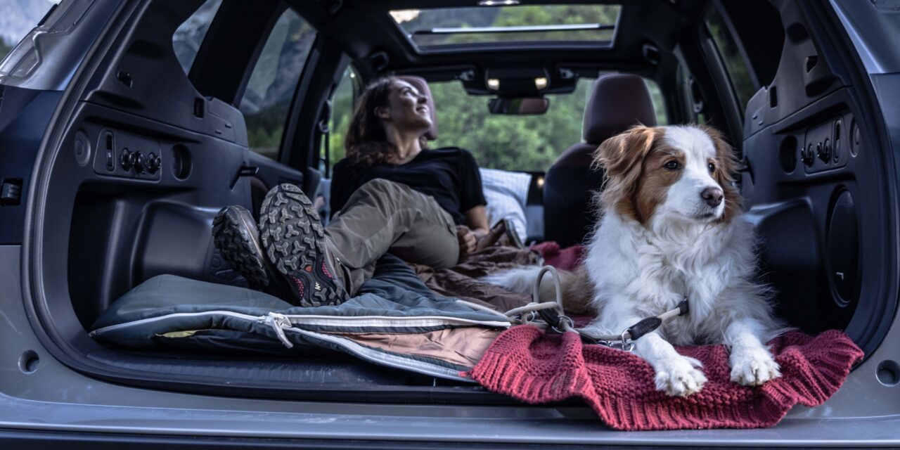 BBC Countryfile Dog of the Year has launched – in association with Subaru