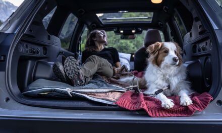 BBC Countryfile Dog of the Year has launched – in association with Subaru