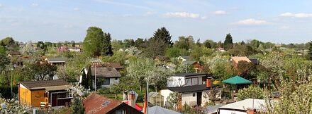 National Allotments Week 2025: Celebrating Britain’s Beloved Green Spaces