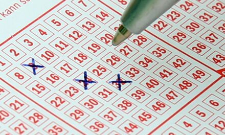 National Lottery Lotto Results – 9th August 2025: Winning Numbers and Prize Breakdown