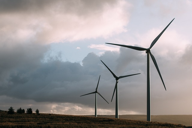 wind photo