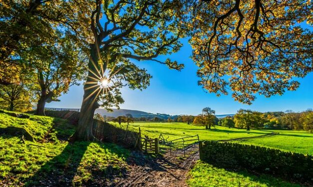 UK Weather Forecast for Friday 15th August 2025 – A Mild, Sunny Day Across the Country