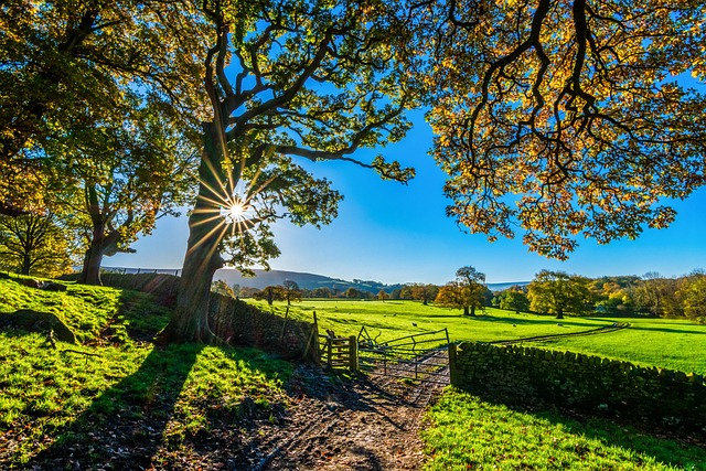 UK Weather Forecast for Friday 15th August 2025 – A Mild, Sunny Day Across the Country