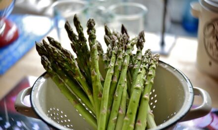BNF Healthy Eating Week 2025: Dates, Themes, Activities & A Complete UK Guide