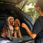 Luxury for every passenger with new Pet Accessory Range