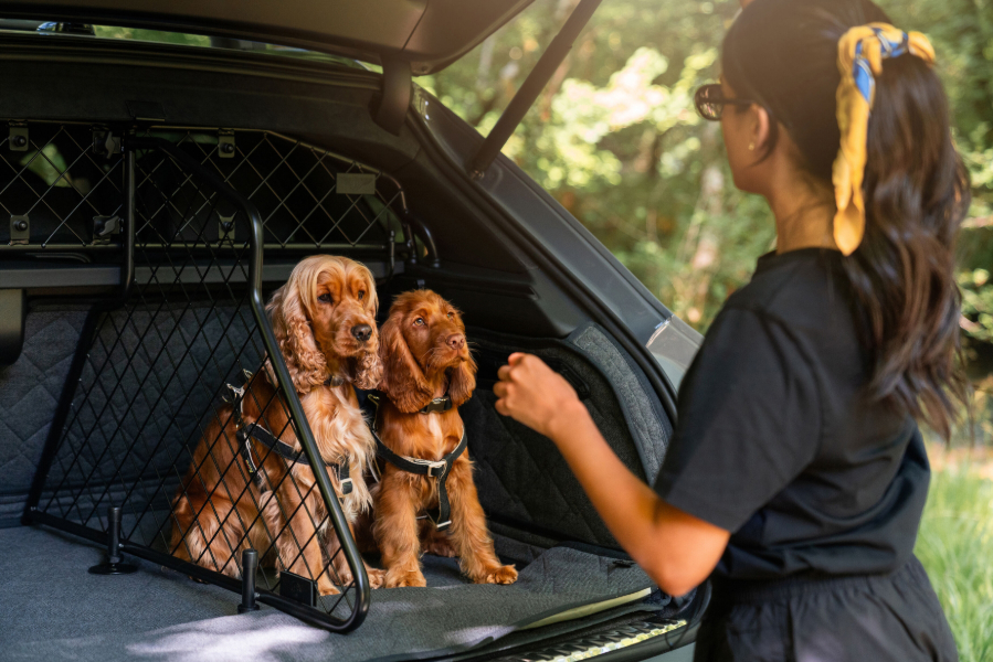 Luxury for every passenger with new Pet Accessory Range