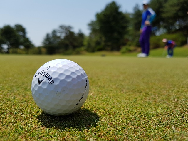 Ryder Cup 2025 Preview: Europe vs USA at Bethpage Black