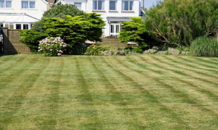 Stripes That Last: Tips for Increasing Stripe Longevity to Two Weeks