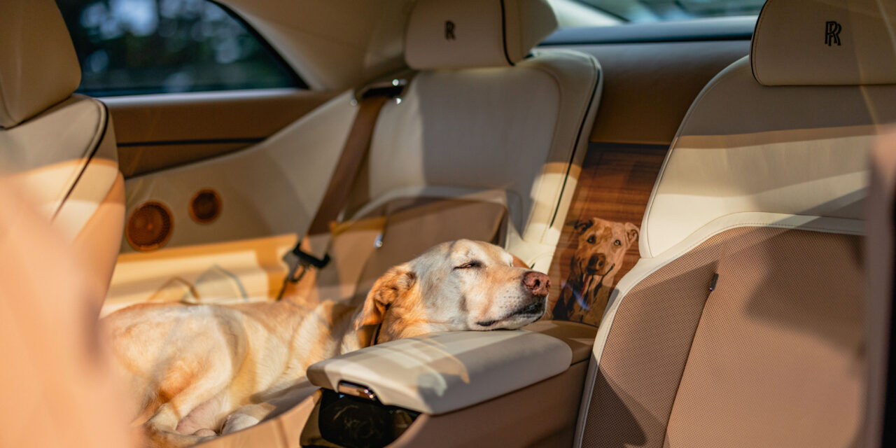 Rolls-Royce Spectre Bailey: a joyful tribute to a beloved dog