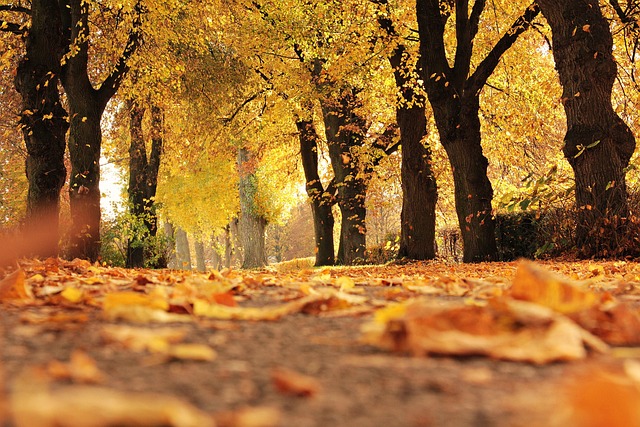UK Weather Forecast for Tuesday 28 October 2025: A Brighter, Milder Day with Some Late Cloud