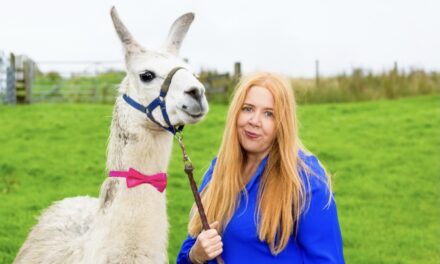 The Wellbeing Farm in Bolton hosts an event to celebrate a decade of the UK B Corp movement