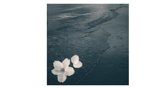 The Ingrid Announce ‘Mother’: A New Single With Purpose, Wit and Quiet Defiance