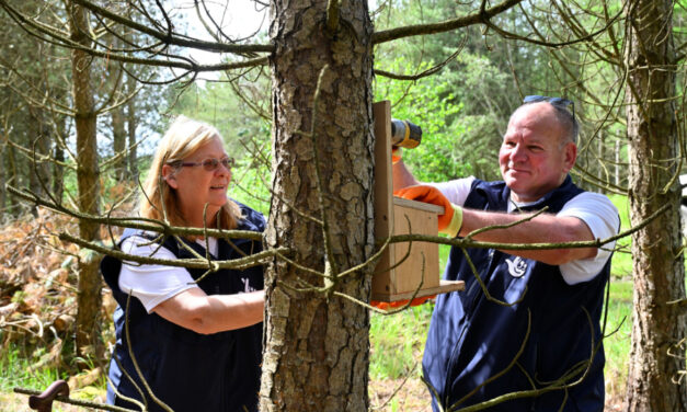 National Lottery Scratchcard Winners Help Preserve UK’s Red Squirrel Population