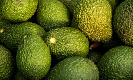 World Avocado Day: How much do you really know about the world’s favourite fruit?