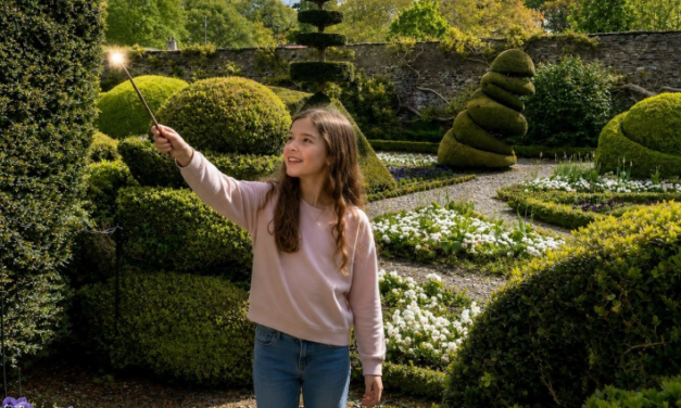 Wizard Challenge Lets Families Make the Most of VAT Cut