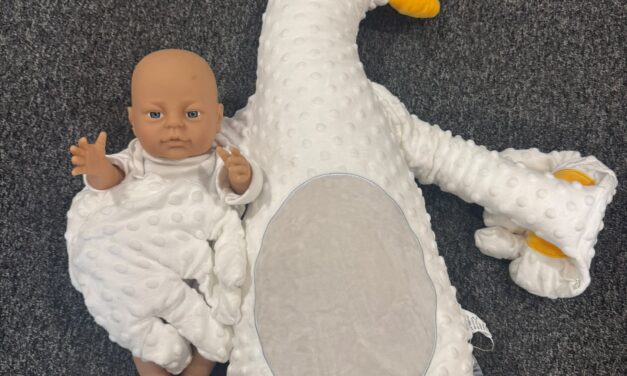 HIDDEN DANGERS OF BABY SLEEP AND FEEDING PRODUCTS